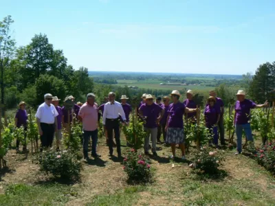 Accueil des officiels dans la vigne... sous un très chaud soleil