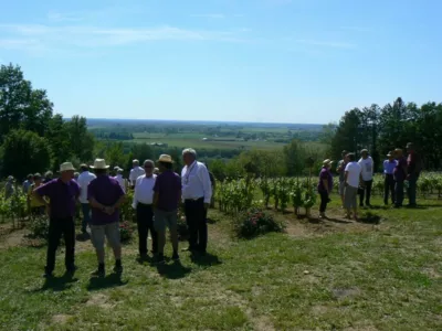 Accueil des officiels dans la vigne... sous un très chaud soleil